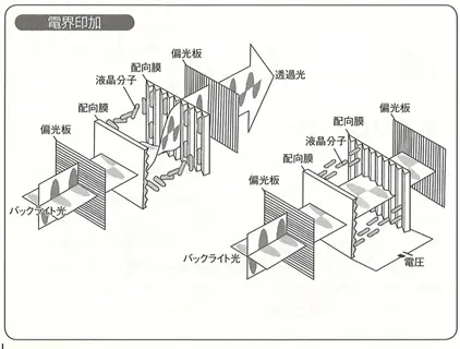 電界印可