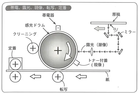 帯電、露光、現像、転写、定着