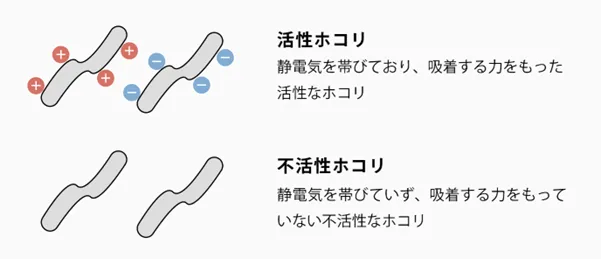 「活性ホコリ」と「不活性ホコリ」